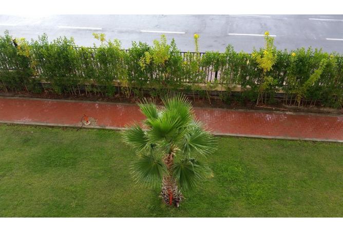 7988698 - Property Main Image