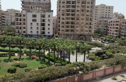 Apartment - 4 Bedrooms - 3 Bathrooms for sale in Dr Mahmoud Saleh Abu Zaid St. - 9th Zone - Nasr City - Cairo