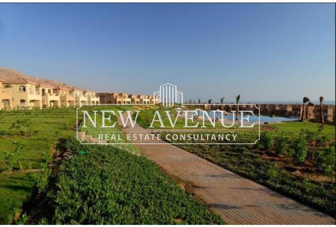 8150172 - Property Image 3