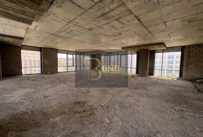 8134091 - Property Image 3