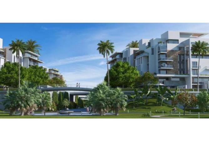 7935645 - صورة العقار 2