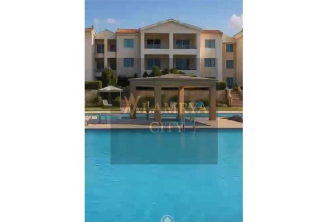 8138203 - Property Image 3