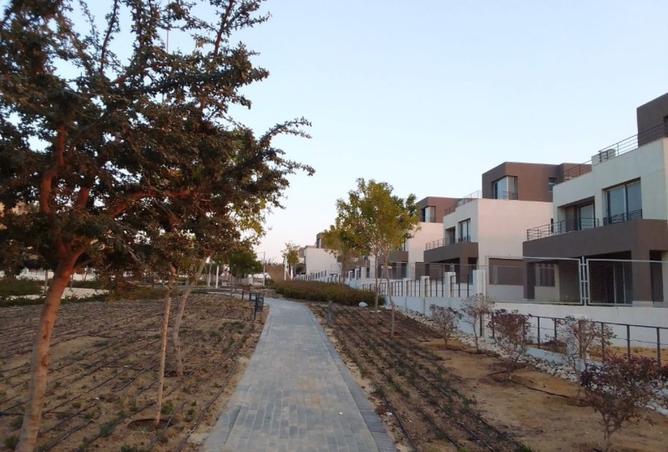 8090637 - Property Image 3