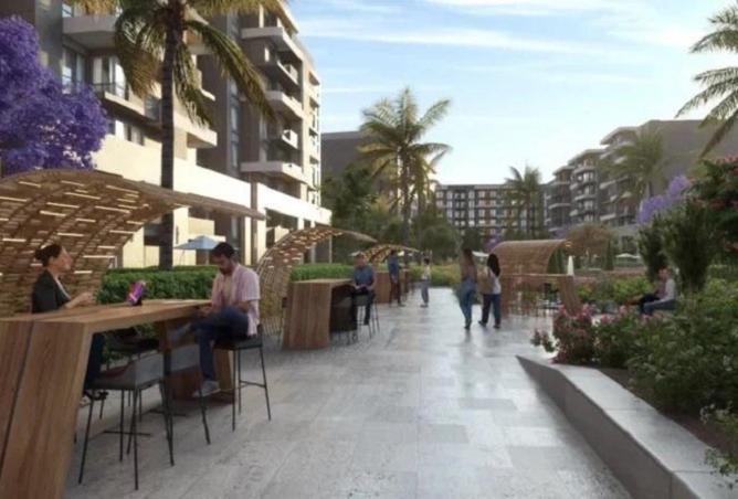 8235754 - Property Image 3