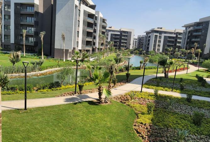 8317707 - صورة العقار 2