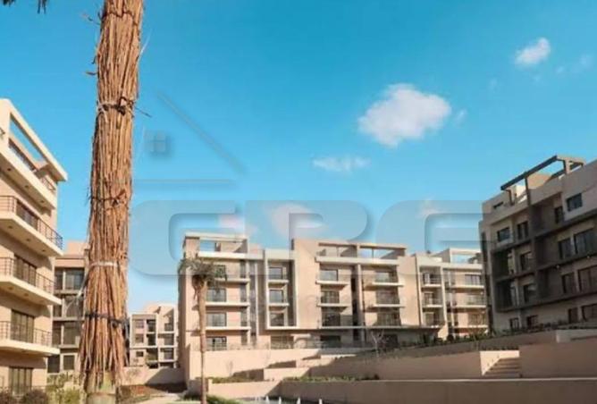 7926548 - Property Image 2