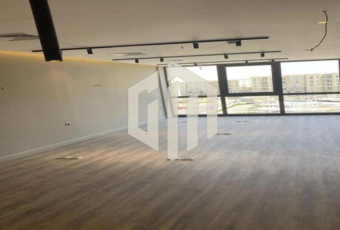 8126205 - Property Image 3