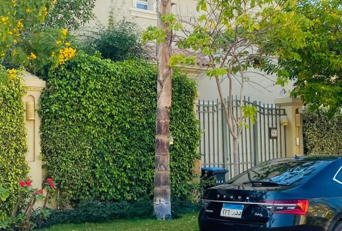 8256518 - صورة العقار 2