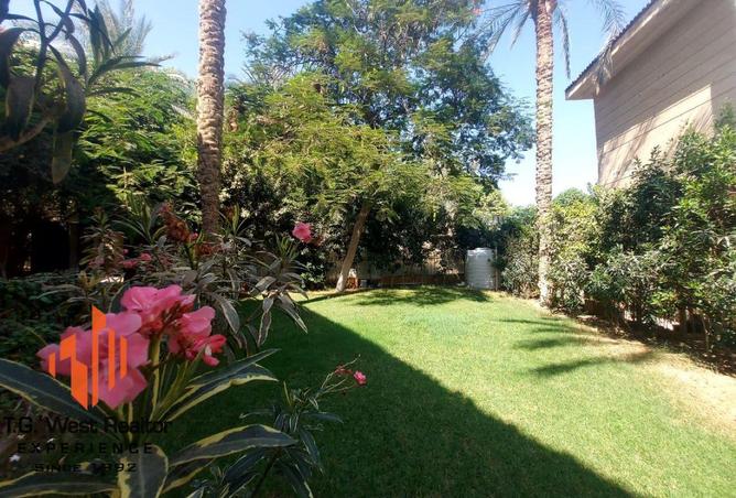 8016494 - صورة العقار 2