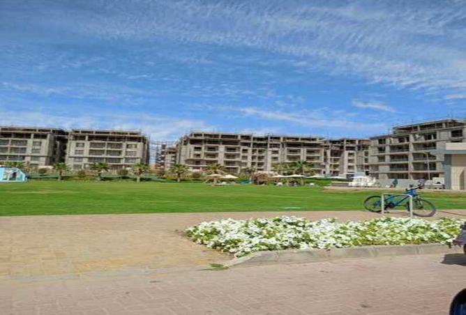 8169997 - Property Image 2