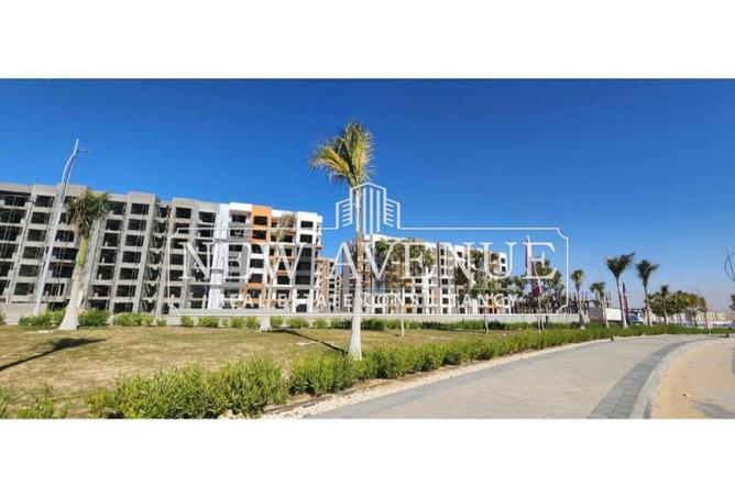 8271257 - Property Image 3