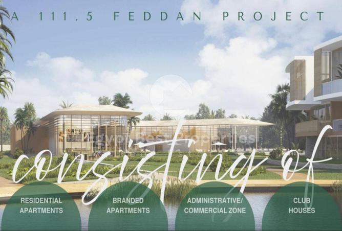 8229021 - Property Image 3