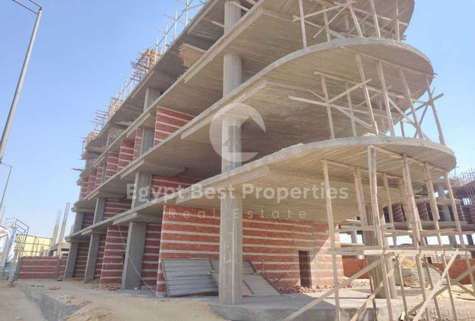 7984569 - Property Image 2