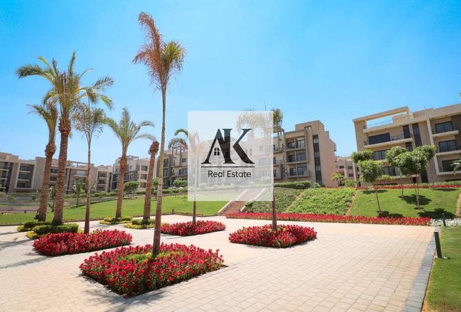 7967643 - الصورة الرئيسية للعقار