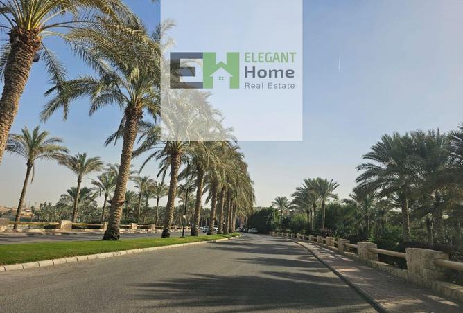 8408327 - Property Image 3