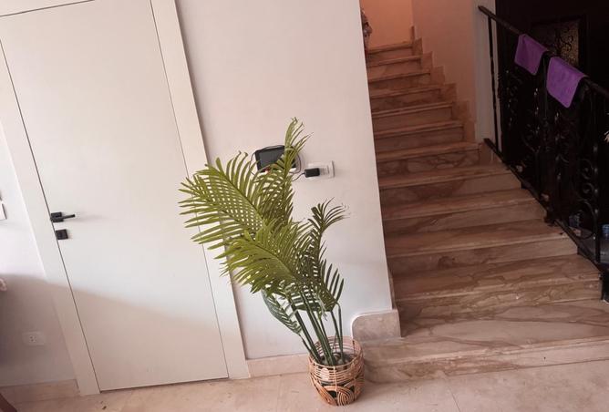 8381179 - Property Image 3