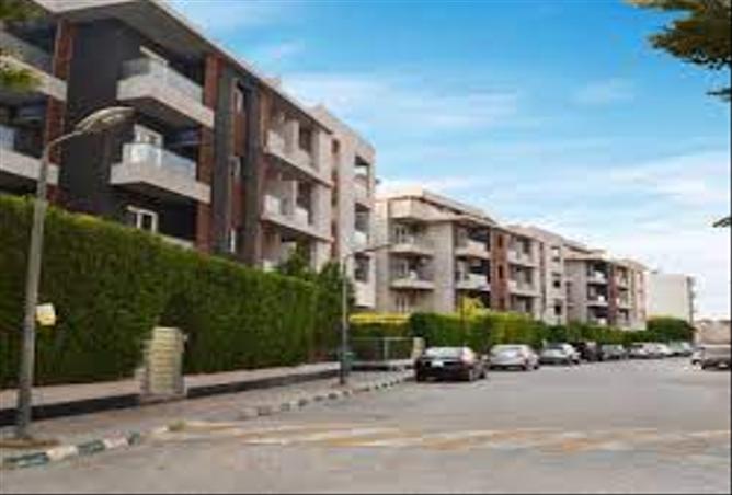 8199576 - صورة العقار 2