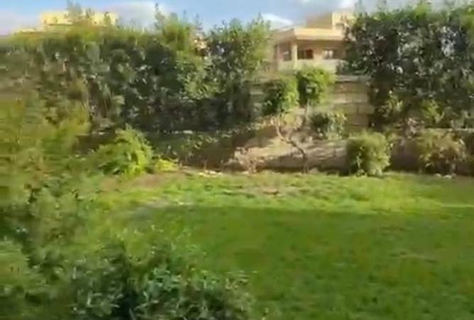 7931476 - الصورة الرئيسية للعقار