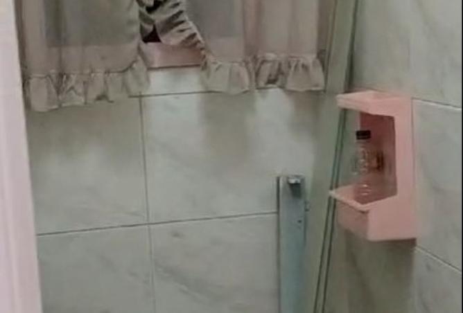 8535578 - صورة العقار 2