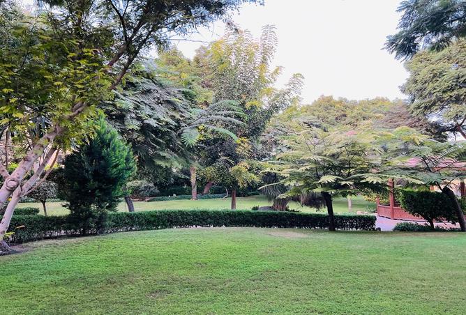 8415316 - صورة العقار 2