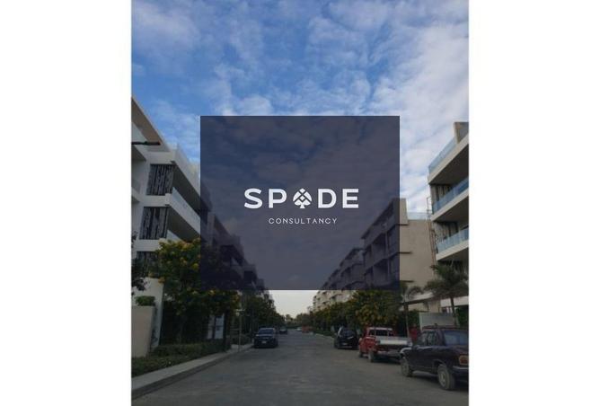 8262407 - Property Image 2