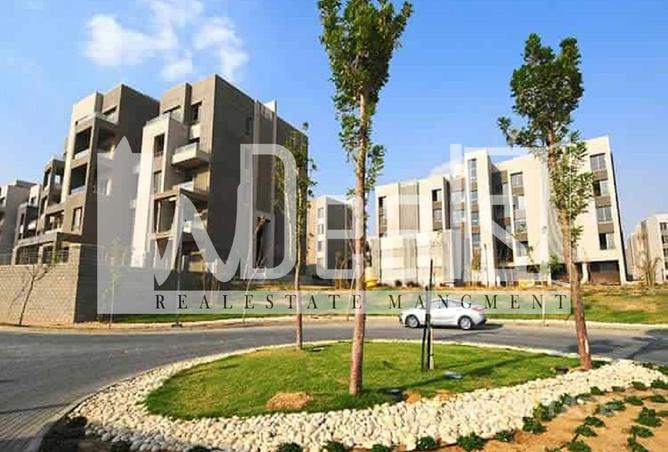 8022798 - Property Image 2