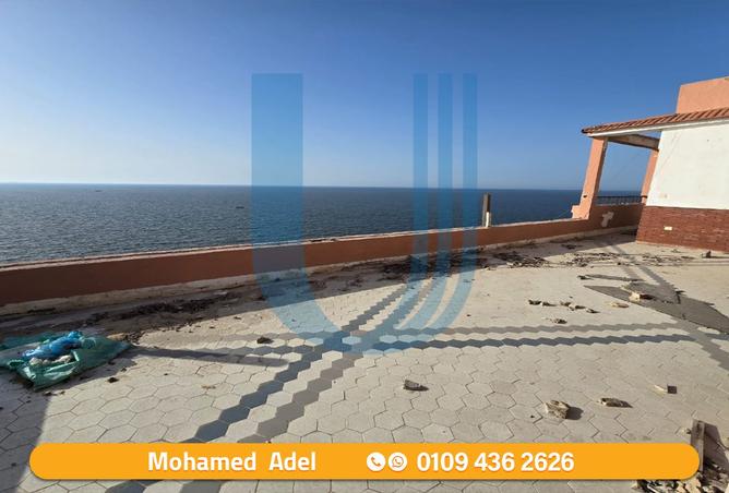 7899621 - صورة العقار 2