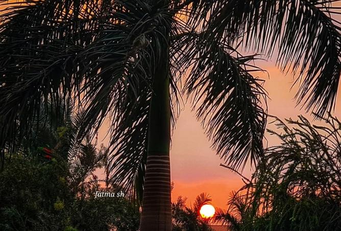 8355139 - صورة العقار 3