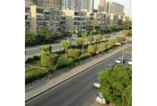 8079155 - صورة العقار 3