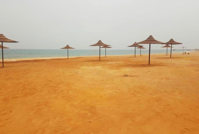 7965446 - صورة العقار 3