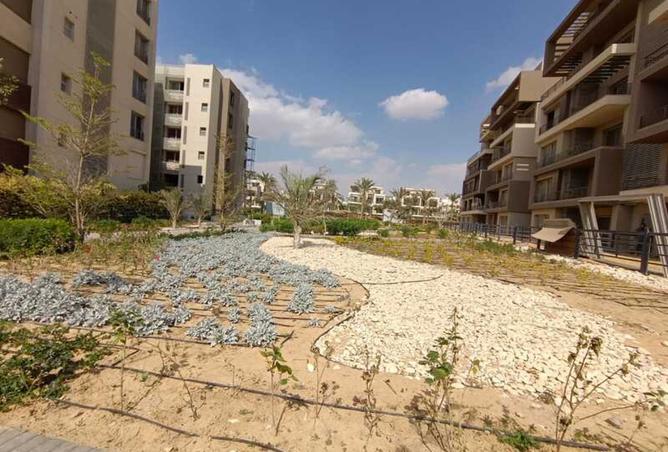 8452883 - Property Image 2