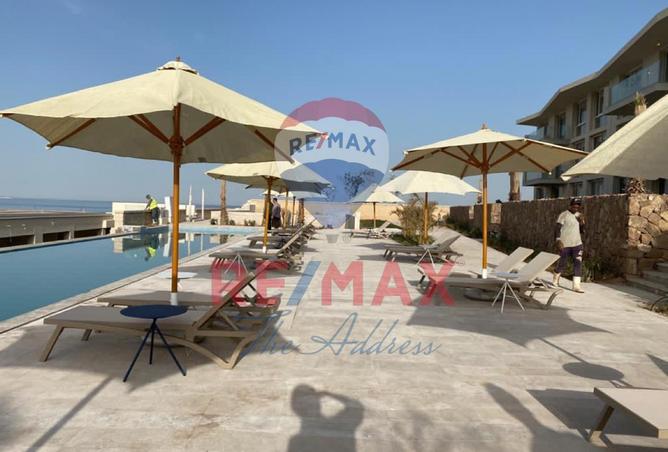 8346334 - Property Image 2