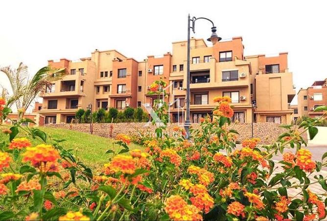 8508158 - Property Main Image