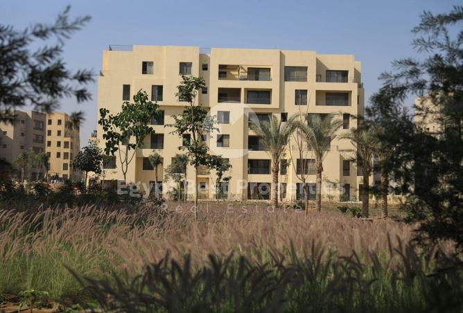 8203137 - الصورة الرئيسية للعقار