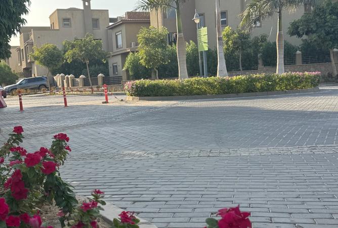 8007929 - صورة العقار 3