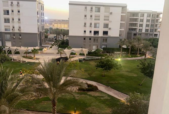 8274461 - Property Image 3