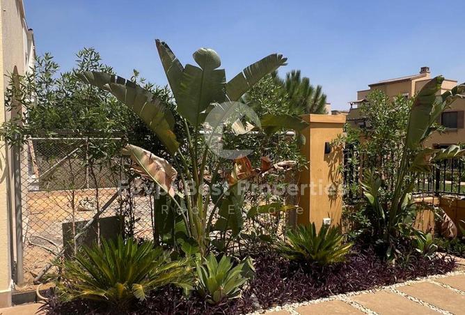 8353103 - Property Image 3