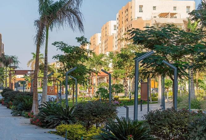 7423838 - صورة العقار 3