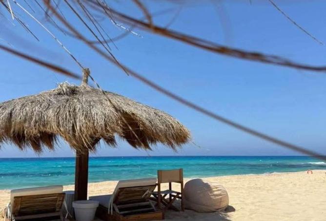 8137256 - Property Image 2