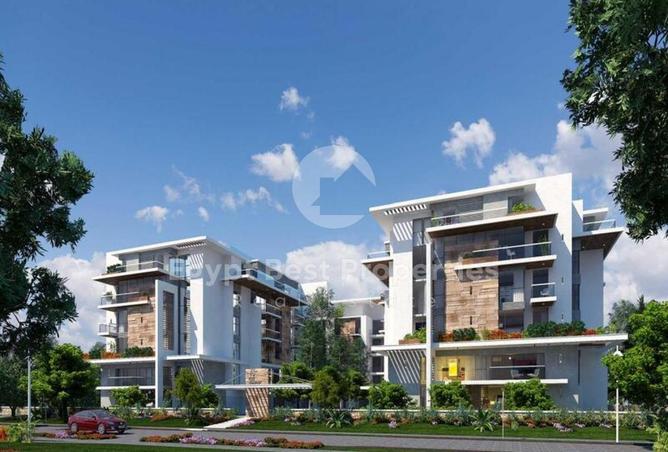 8417806 - صورة العقار 3