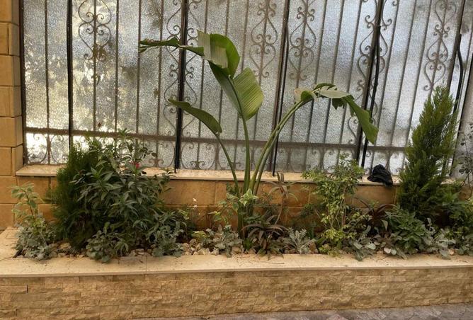 8284055 - Property Image 2