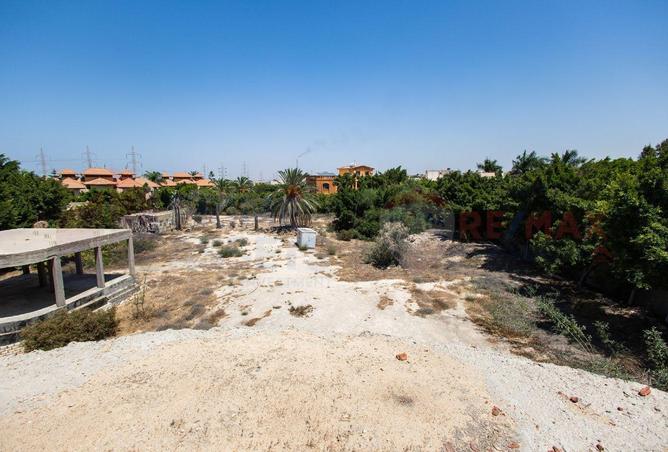 7267731 - Property Image 3