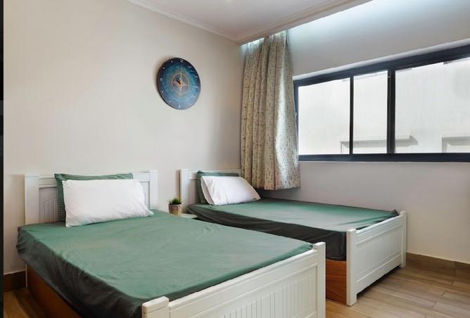 8087465 - Property Image 3