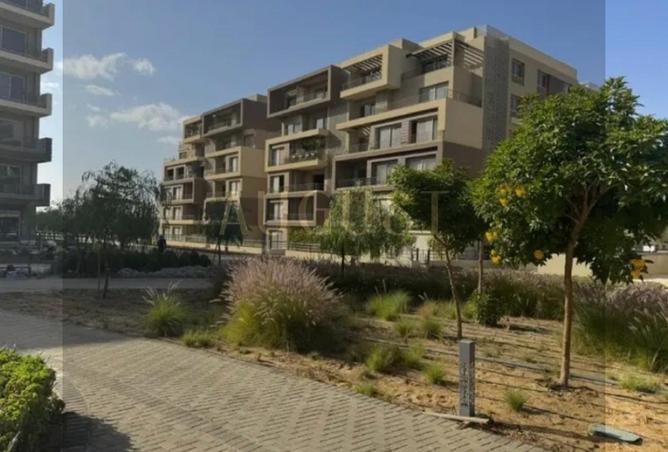 8367359 - Property Image 3