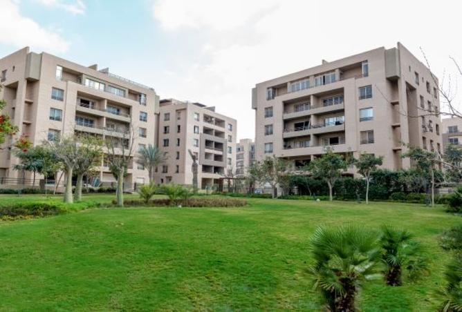 8560238 - صورة العقار 3