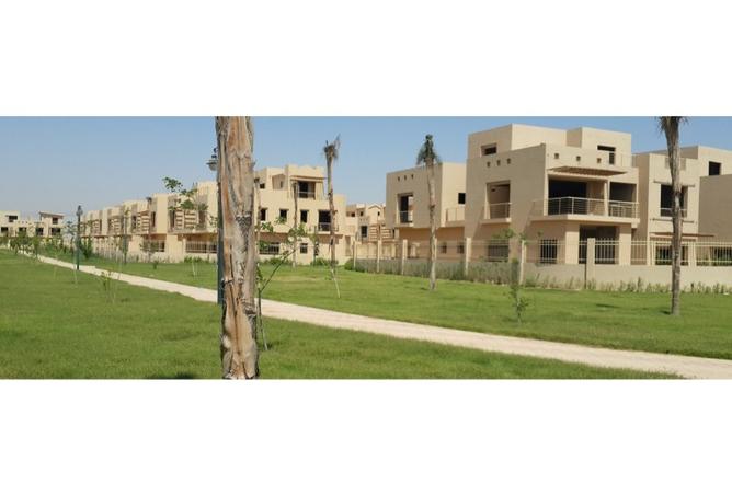 7993674 - صورة العقار 3