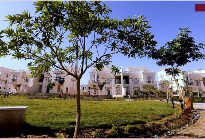 8265872 - Property Image 2