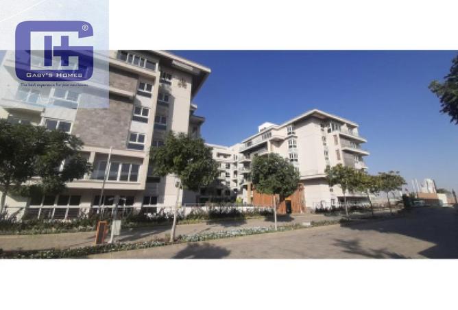 7937863 - Property Image 2