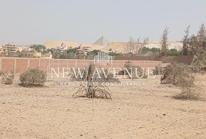 8431361 - صورة العقار 3