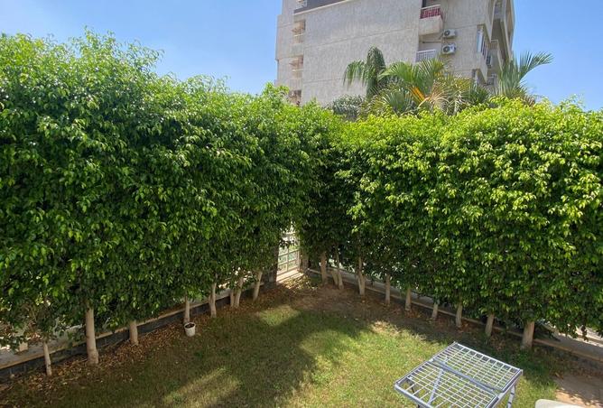 8334780 - الصورة الرئيسية للعقار